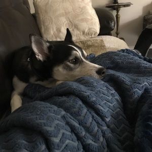 Meet your Posher, Jeff